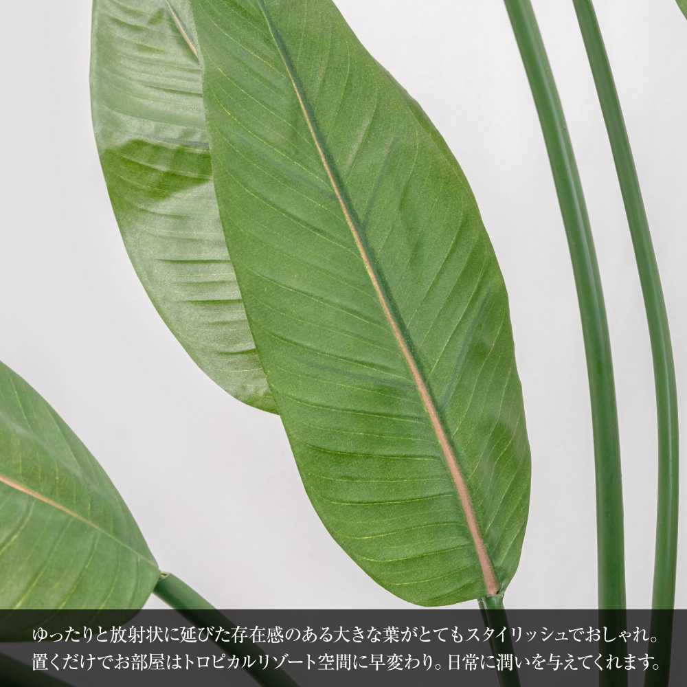 フェイクグリーン 観葉植物 人工観葉 大型 光触媒 ストレリチア 160cm 陶器鉢付加工 ストレチア 本物そっくり リアル 造花 インテリア おしゃれ 新発売｜k-hana｜02