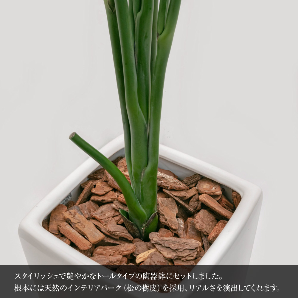 フェイクグリーン 観葉植物 人工観葉 大型 光触媒 ストレリチア 160cm 陶器鉢付加工 ストレチア 本物そっくり リアル 造花 インテリア おしゃれ 新発売｜k-hana｜04