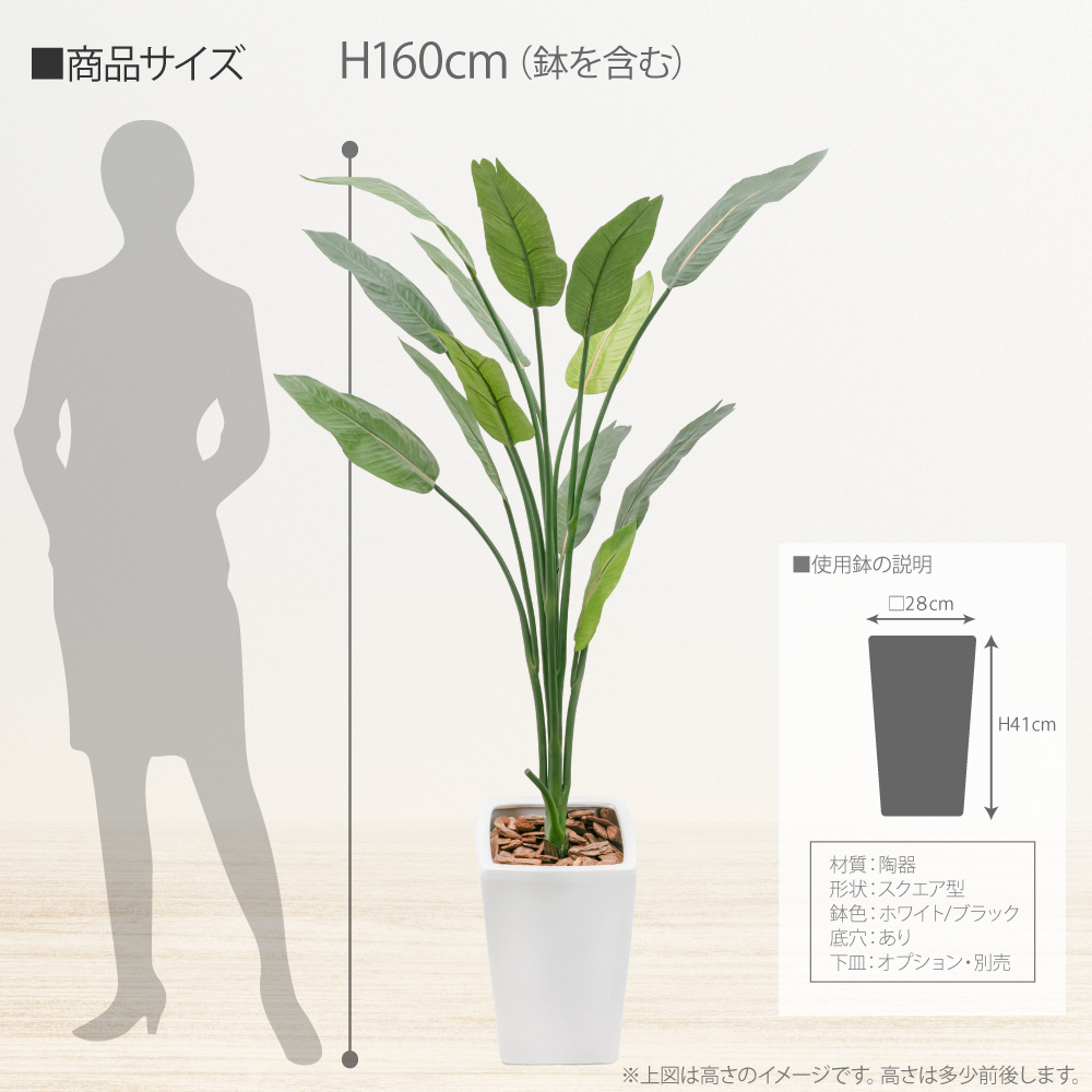 フェイクグリーン 観葉植物 人工観葉 大型 光触媒 ストレリチア 160cm 陶器鉢付加工 ストレチア 本物そっくり リアル 造花 インテリア おしゃれ 新発売｜k-hana｜05