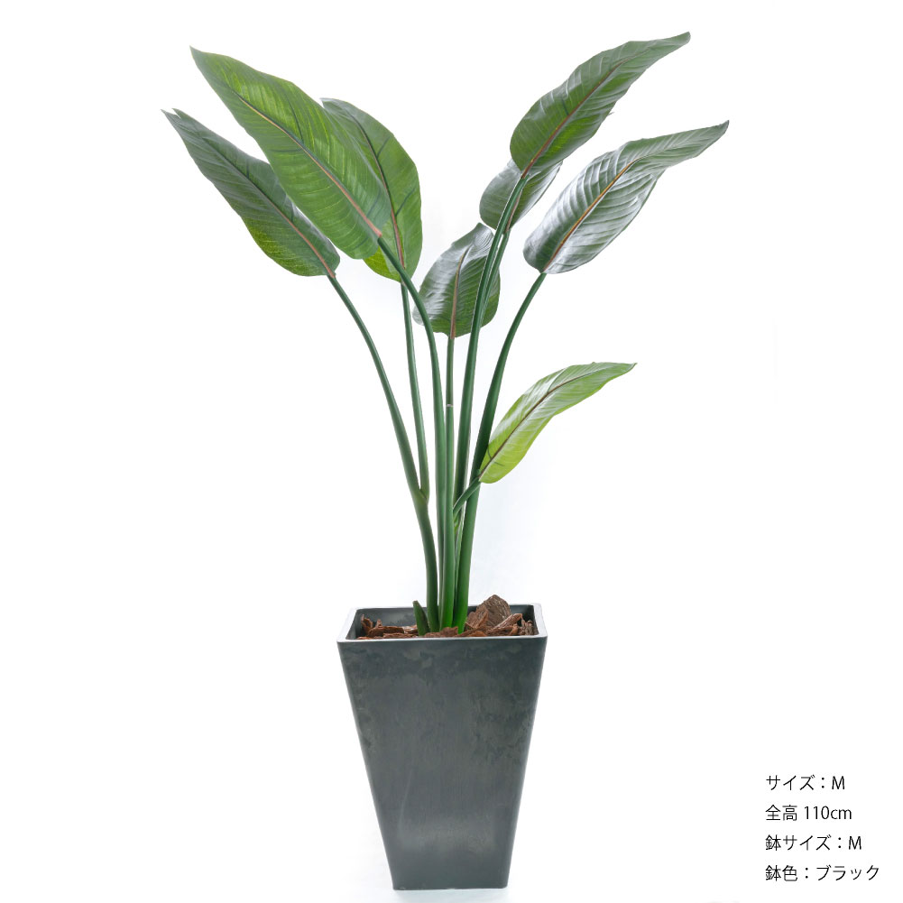フェイクグリーン オーガスタ 観葉植物 大型 人工観葉 光触媒 ストレチア 本物そっくり リアル 造花 インテリア おしゃれ / ストレリチア 樹脂M鉢 110cmの画像