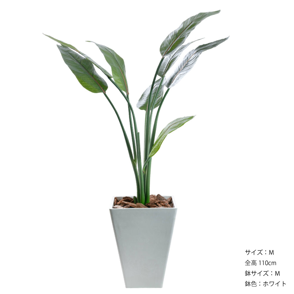フェイクグリーン オーガスタ 観葉植物 大型 人工観葉 光触媒 ストレチア 本物そっくり リアル 造花 インテリア おしゃれ / ストレリチア 樹脂M鉢 110cmの画像