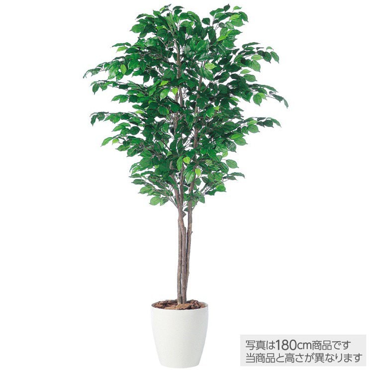 人工観葉植物 フィッカスベンシャミナ 200 natural ポット付き 高さ200cm （P57-98517) （代引き不可）