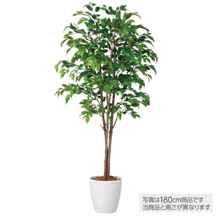 メーカー直送｜観葉植物 造花 大型 ベンジャミナスプラッシュトリプル