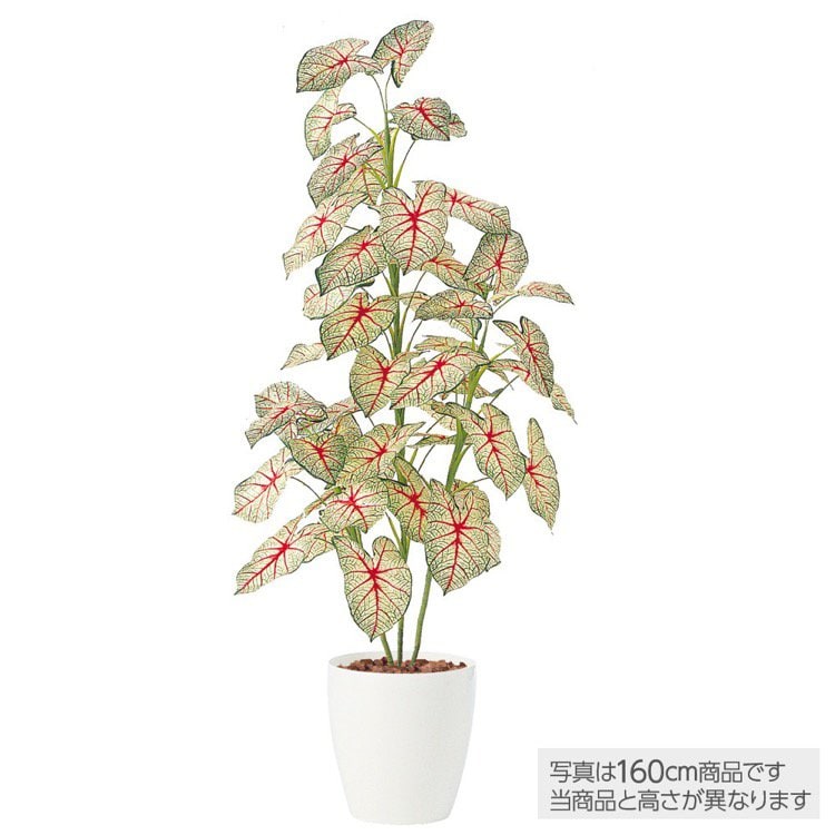 光触媒　人工観葉植物　フェイクグリーン　カラジウムトロピカーナ 100 光触媒 人工観葉植物 フェイクグリーン カラジウムトロピカーナ 100