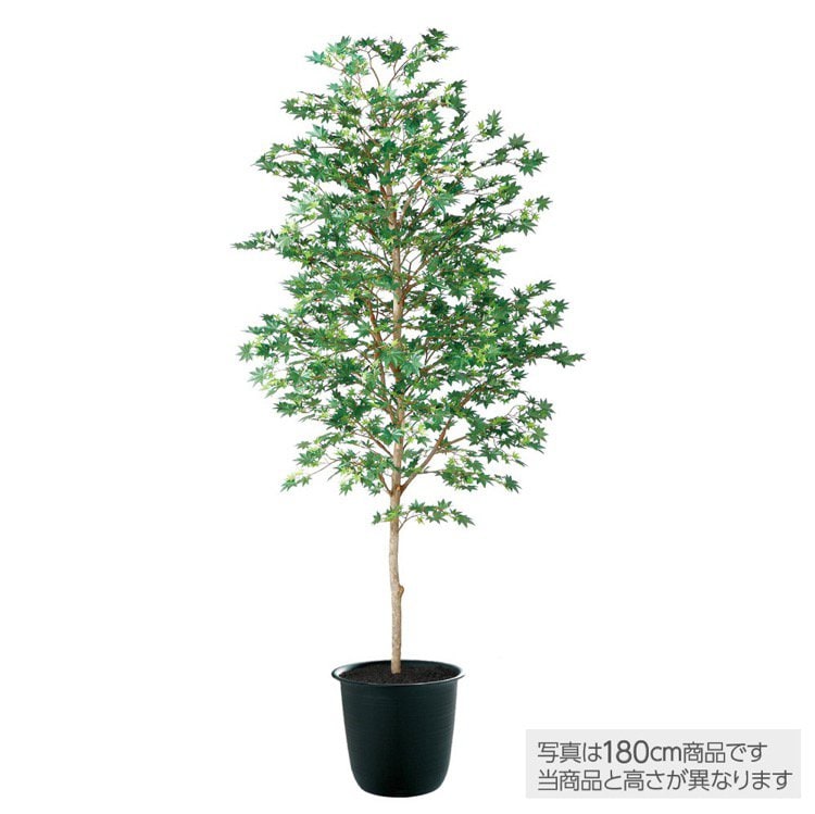 メーカー直送｜大型 人工観葉植物 ヤマモミジ 緑 200cm 鉢植 観葉植物