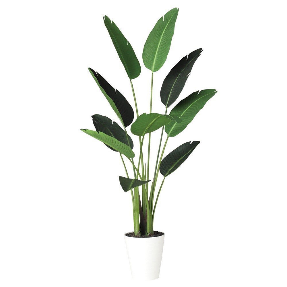 買い誠実 光触媒 人工観葉植物 ウォールグリーン フェイクグリーン