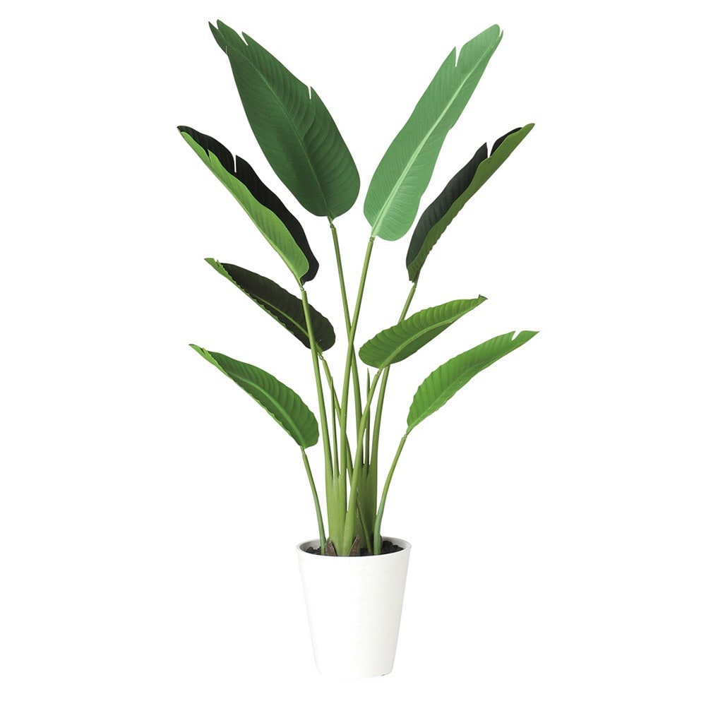 人工観葉植物 フェイクグリーン 観葉植物 造花 光触媒 大型 オーガスタ 