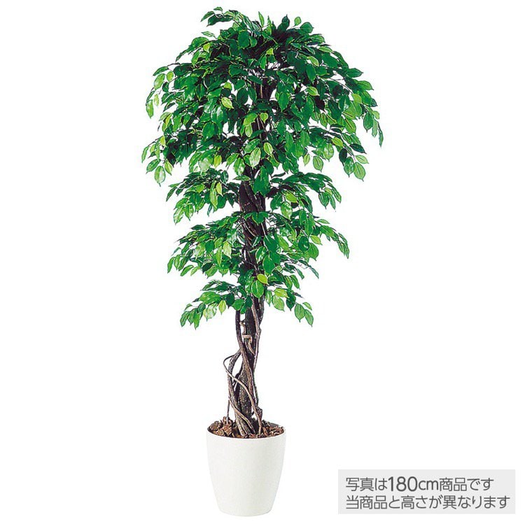 メーカー直送｜人工観葉植物 大型 フィッカスベンジャミナリアナ