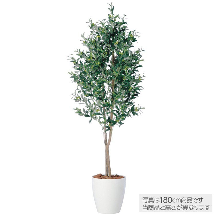 観葉植物 造花 ライプオリーブデュアル 150cm 鉢植 大型 人工観葉植物