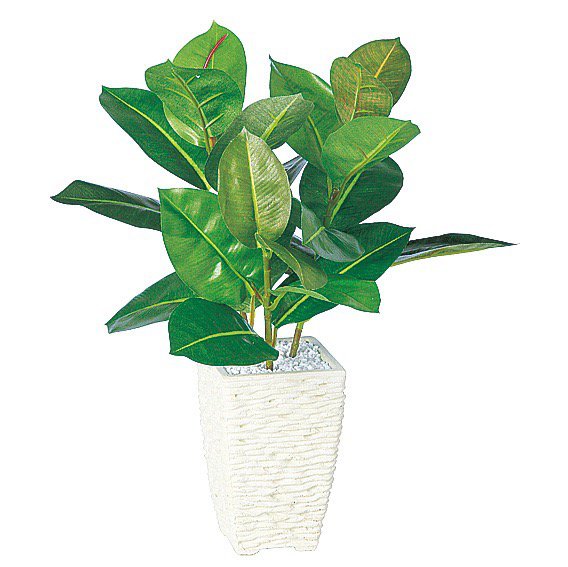 光触媒　人工観葉植物　ウォールグリーン　フェイクグリーン　ゴムノキaj 光触媒 人工観葉植物 ウォールグリーン フェイクグリーン ゴムノキaj