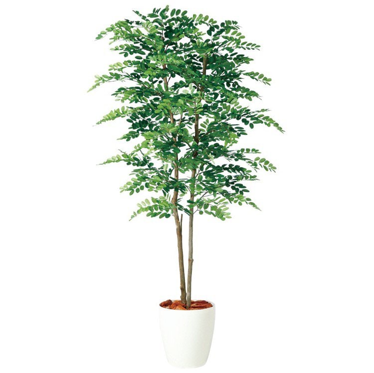 フェイクグリーン 大型 アカシアデュアル 180cm 鉢植 人工観葉植物