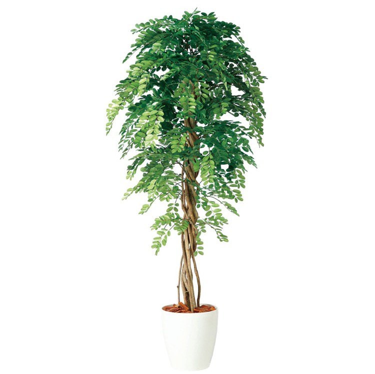人工観葉植物 大型 アカシアリアナ 180cm 鉢植 フェイクグリーン 観葉