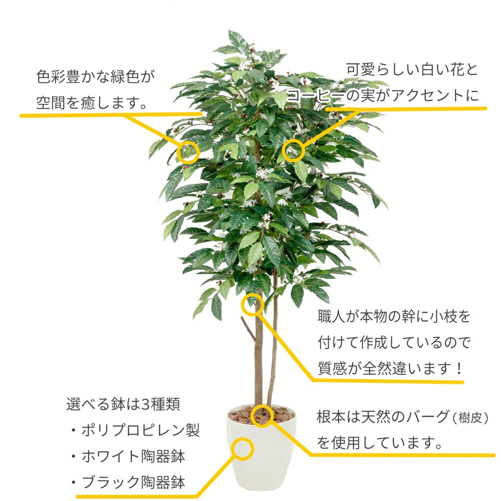 フェイクグリーン 大型 コーヒーデュアル (コーヒーの木) 180cm 鉢植 人工観葉植物 観葉植物 造花 光触媒 CT触媒 インテリア 98989  :TK-98989:フェイクグリーンの神戸花物語 - 通販 - Yahoo!ショッピング