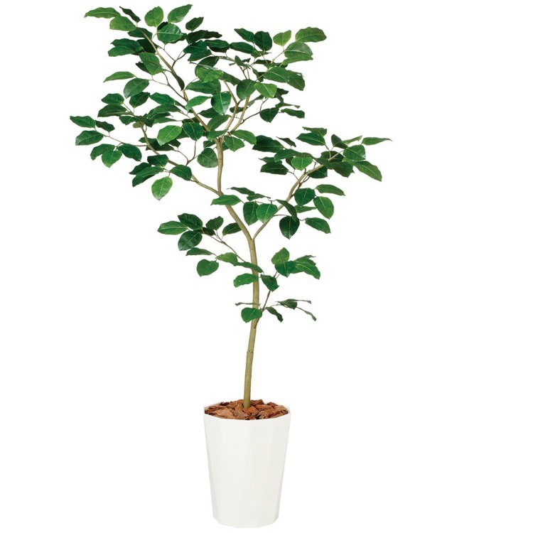観葉植物 造花 大型 ベンガルボダイジュ FST 180cm 鉢植 人工観葉植物