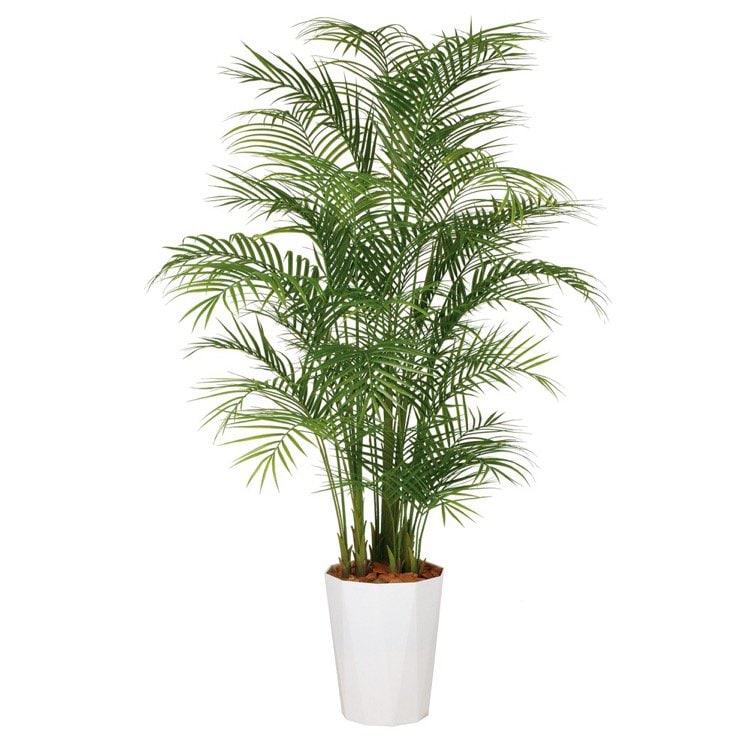 神戸花物語 メーカー直送｜観葉植物 造花 大型 アレカヤシ PE
