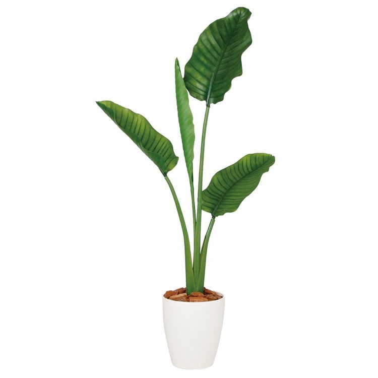 人工観葉植物 ストレリチア・オーガスタ (ストレチア) 130cm 鉢植 大型