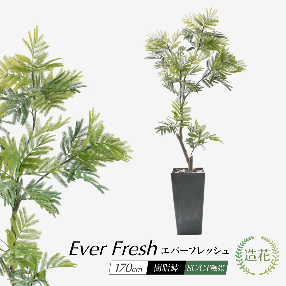 神戸花物語 フェイクグリーン 大型 観葉植物 人工観葉 光触媒 CT触媒