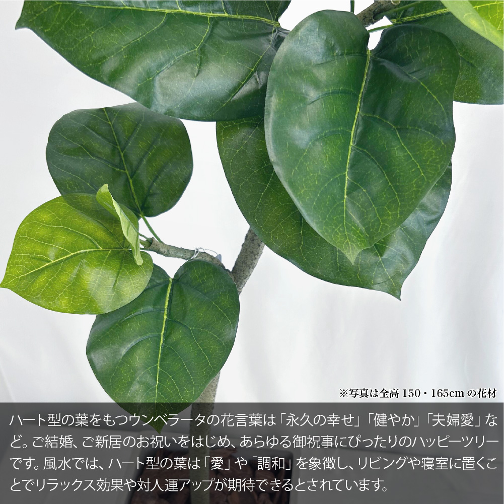 フェイクグリーン ウンベラータ 観葉植物 人工...の詳細画像1