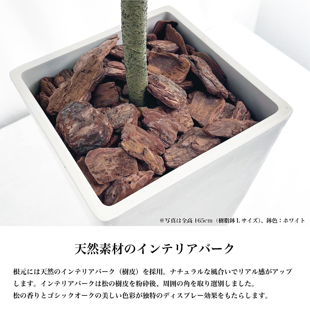 フェイクグリーン ウンベラータ 観葉植物 人工...の詳細画像3