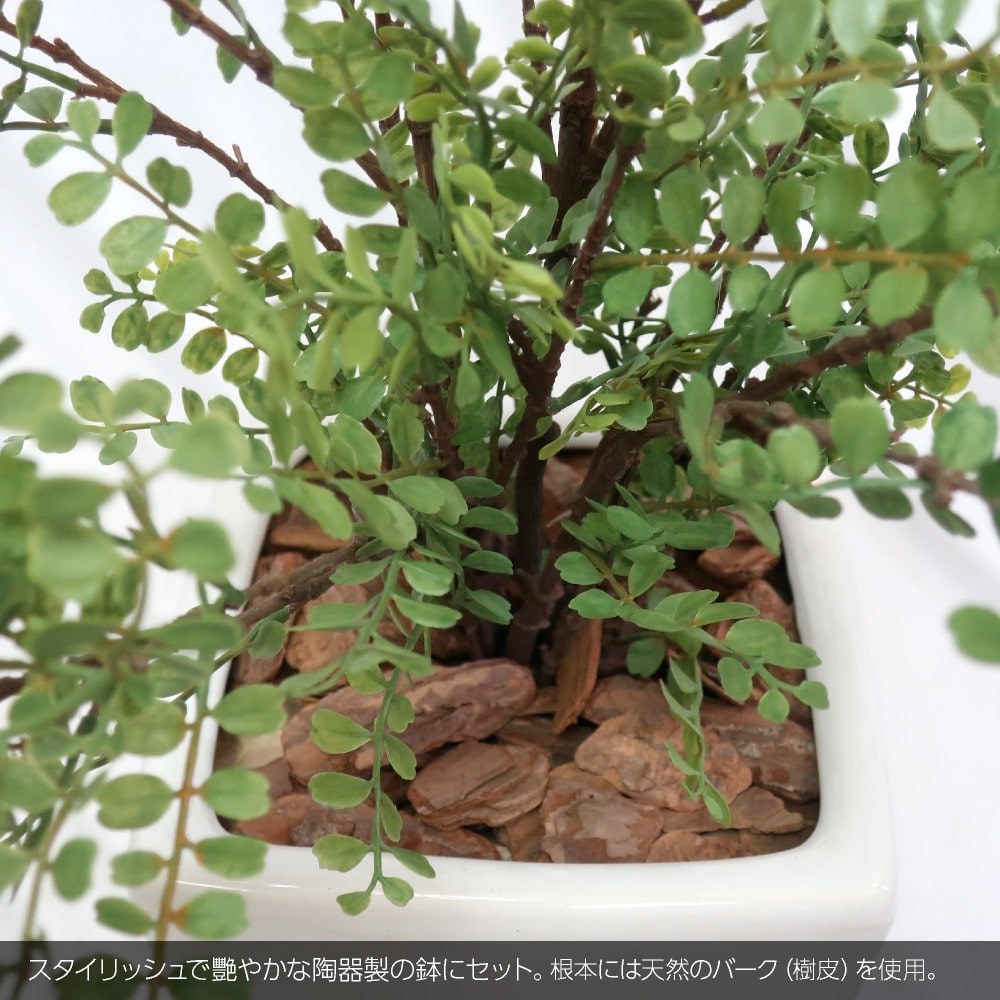 フェイクグリーン 観葉植物 人工観葉 大型 光触媒 恋叶う樹 シルクジャスミンポット 95cm ゲッキツ 鉢植 造花 : vk-p4828pot :  フェイクグリーンの神戸花物語 - 通販 - Yahoo!ショッピング