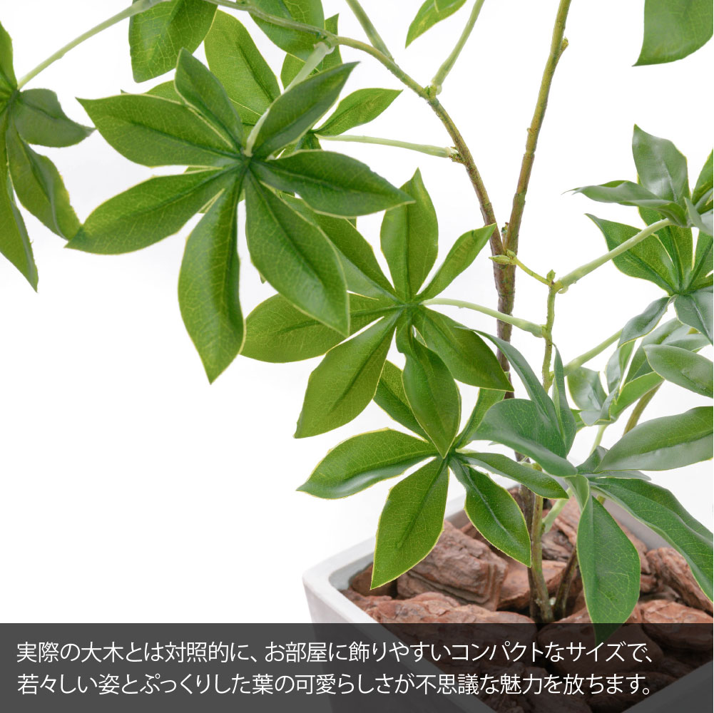 神戸花物語 フェイクグリーン 観葉植物 人工観葉 大型 光触媒 造花