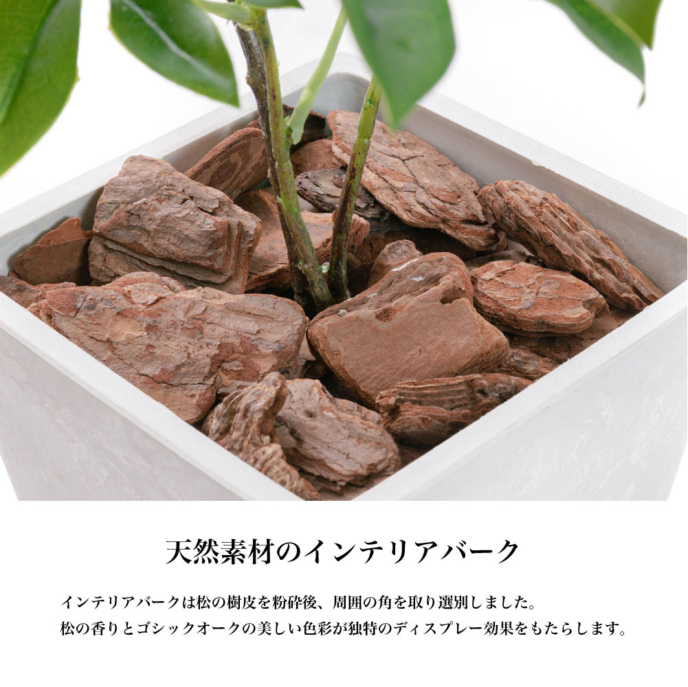 神戸花物語 フェイクグリーン 観葉植物 人工観葉 大型 光触媒 造花