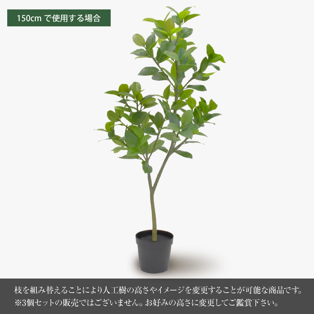 神戸花物語 フェイクグリーン 観葉植物 人工観葉 大型 光触媒 フィカス
