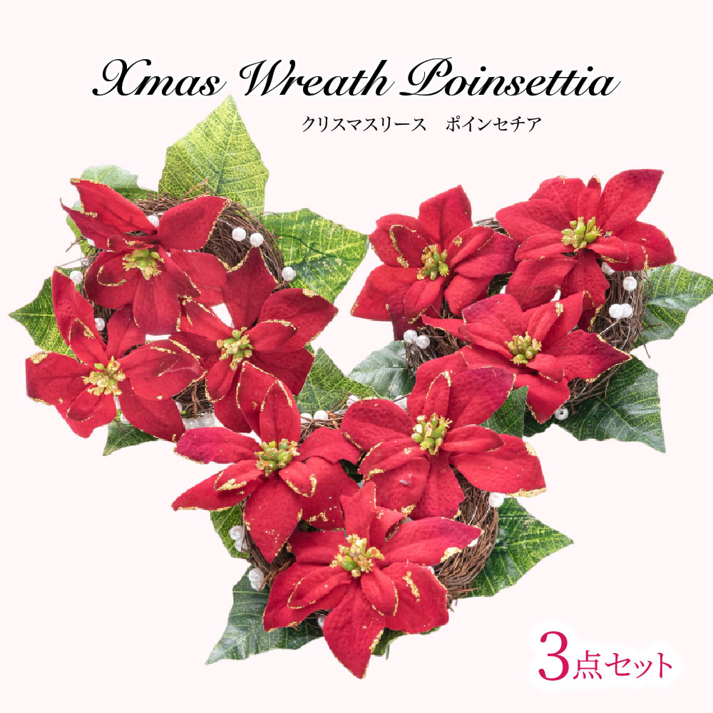 神戸花物語 クリスマス リース ポインセチア Xmas ギフト プレゼント