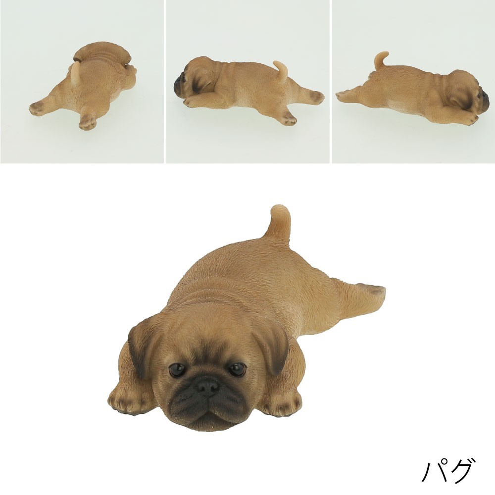 犬圖 冠军犬- YouTube