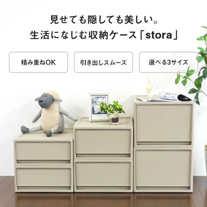 JEJアステージ 収納ボックス 衣類収納 収納ケース 衣装ケース チェスト