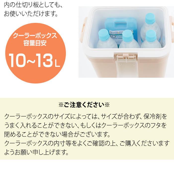 eri35さん専用　クール便 JEJアステージ クールインパック ハード 350g 保冷パック 保冷剤