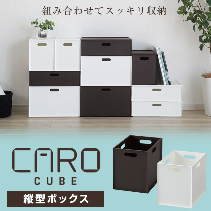 ［注文者専用ページ］収納カバーケース1枚個人宅送料込み JEJアステージ 収納ボックス 収納ケース インナーボックス カロ