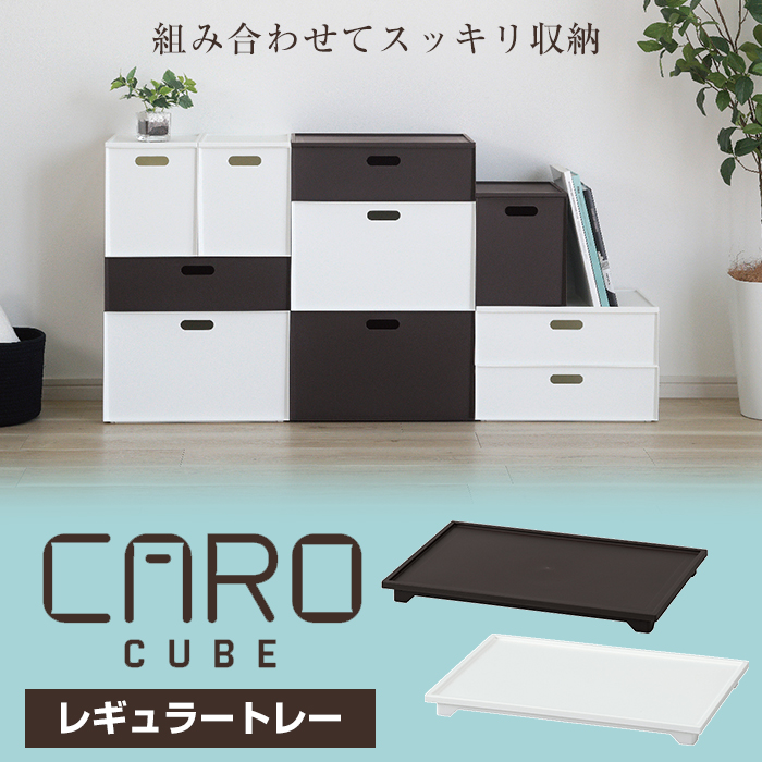 JEJアステージ 収納ボックス 収納ケース カロキューブ