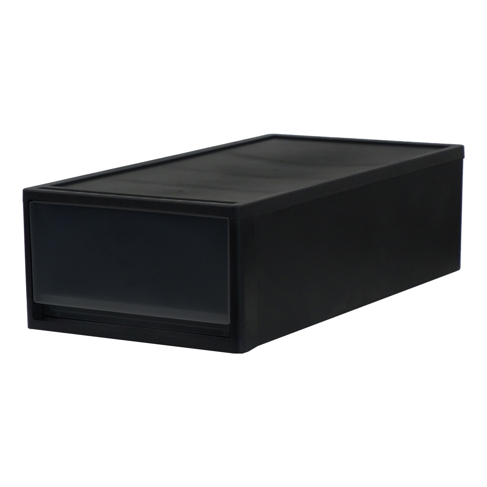 JEJアステージ (同色2個セット)収納ボックス 衣装ケース 衣類収納