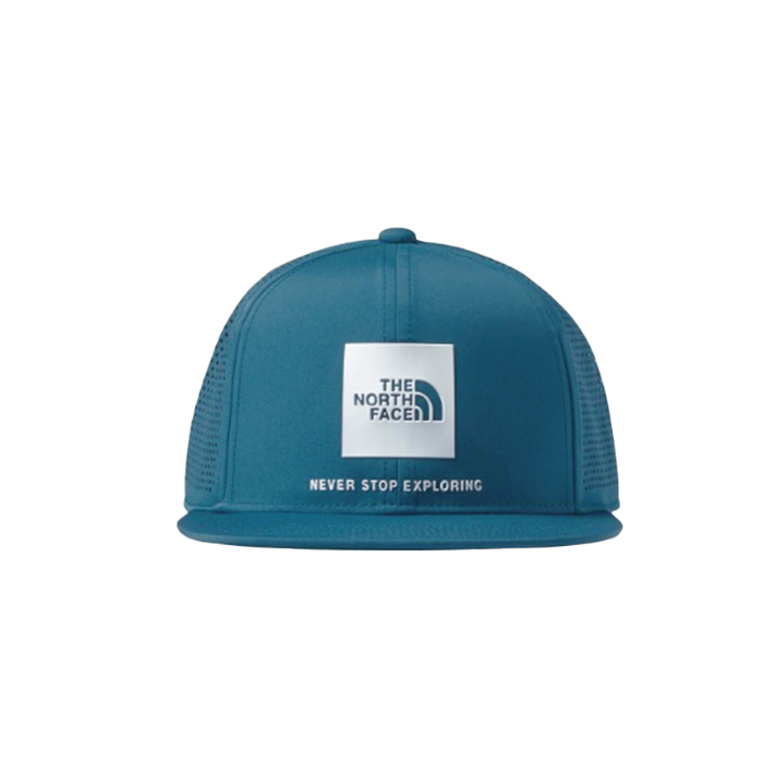 THE NORTH FACE ザ・ノース・フェイス テックロゴキャップ