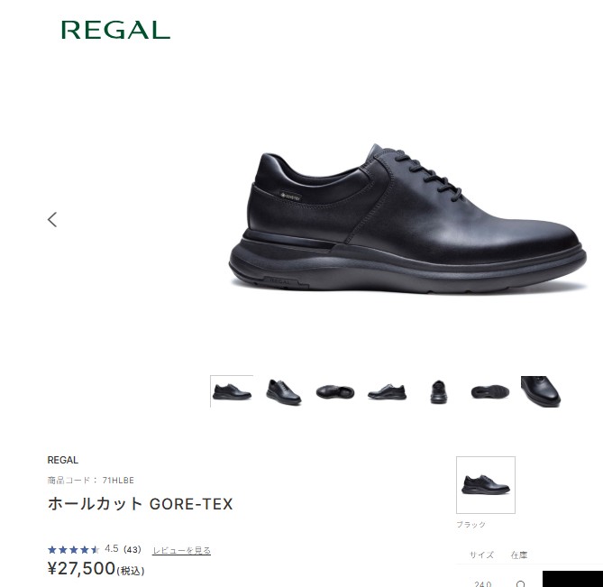 REGAL（リーガル） 71HL BE ホールカット GORE-TEX メンズ 靴 通勤