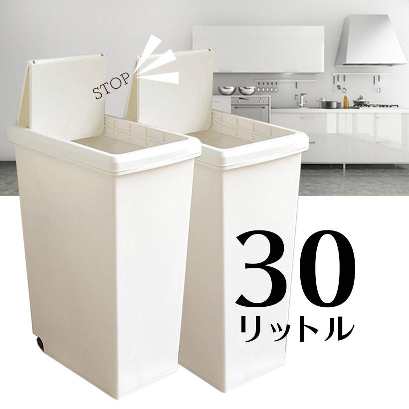平和工業 ゴミ箱 【2個組】 スライドペール30L 白 日本製 平和工業 ゴミ箱 【2個組】 スライドペール30L 白 日本製