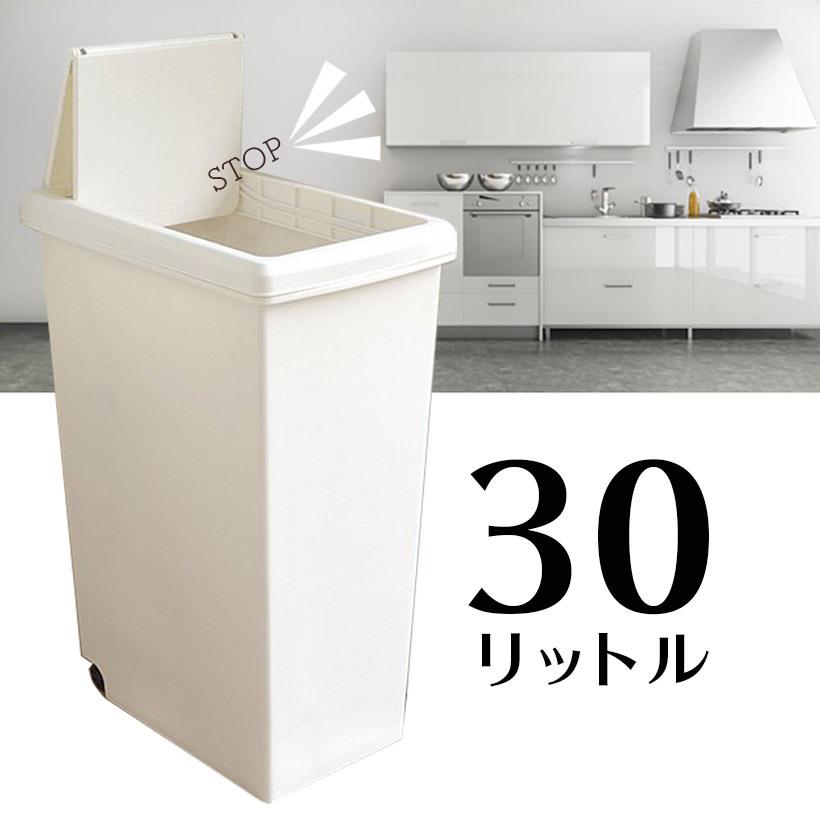 ゴミ箱 平和工業 スライドペール30L 白 日本製 ホワイト 分別 キッチン おしゃれ ごみ箱 キャスター付 : 4907556234711 :  暮らしの杜 横濱 - 通販 - Yahoo!ショッピング