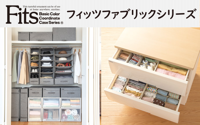 天馬 せいとんボックス LL（仕切り18マス） アイボリー Fits