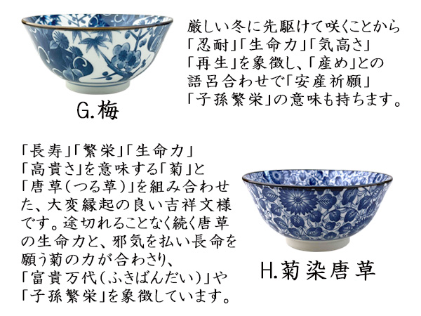 選べる8柄 小丼 600cc 15.4cm 小どんぶり お茶漬け碗 小さめ 丼ぶり
