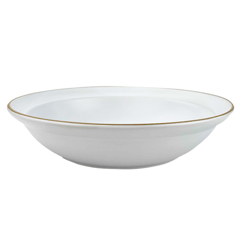 カレー皿 パスタ皿 21cm 700ml 深皿 エッジライン Lサイズ 洋食器 和
