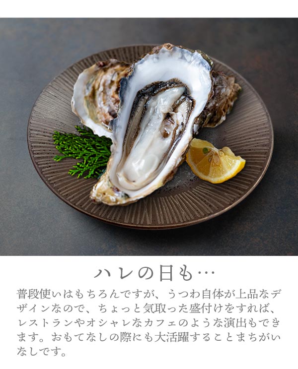 中皿 18.5cm リム プレート アウトレット品込 美濃焼 和食器