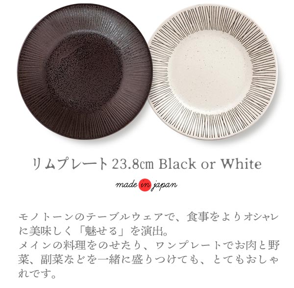 大皿 23.8cm リム プレート アウトレット品込 カレー皿 パスタ皿