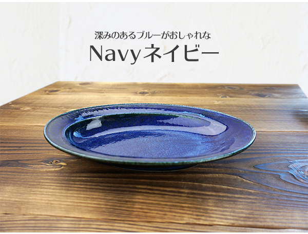 スゴイ カレー皿 3色セット カレー専用 3枚セット 軽い 軽量 スロープ