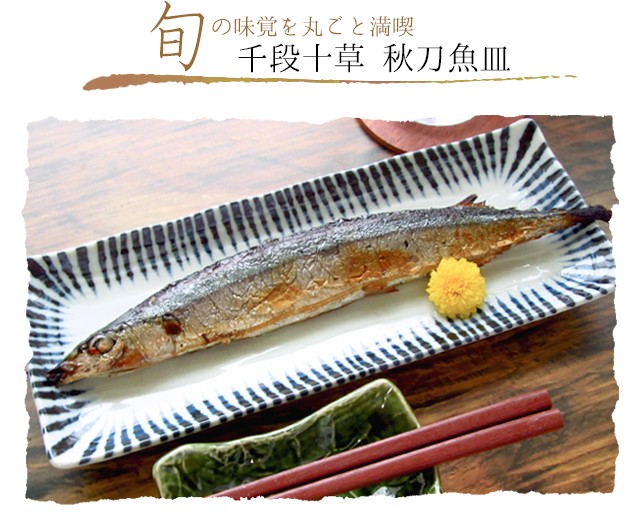 サンマ皿 28cm 和食器 美濃焼 日本製 さんま皿 秋刀魚皿 十草