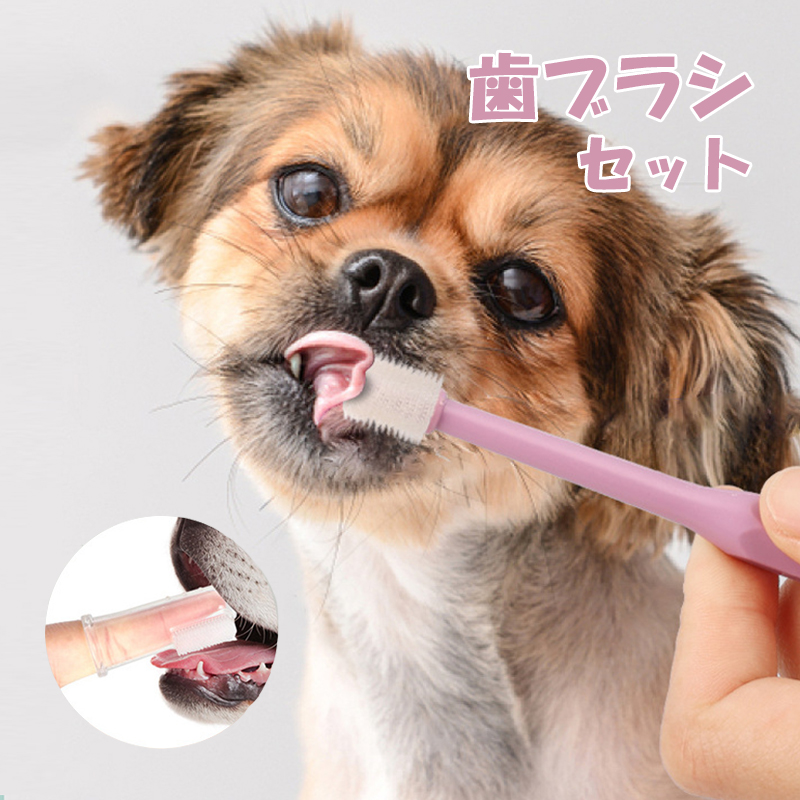 最安値 犬用 歯ブラシ セット 歯磨き 猫用 ペット用 360°型 犬口