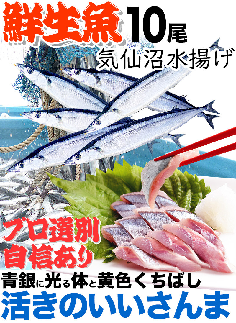 さんま 秋刀魚 １０尾１３０ｇ前後 海鮮 送料込 お取り寄せ ご当地グルメ 気仙沼直送 サンマ 生 生鮮 Y 気仙沼素材屋 Yahoo 店 通販 Yahoo ショッピング