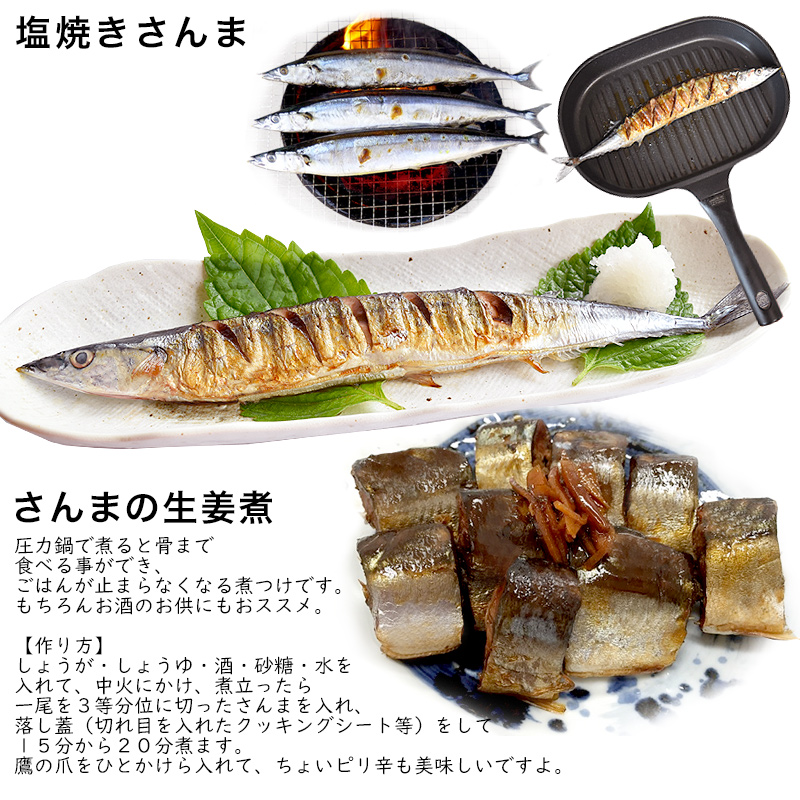 業務用さんま 大 冷凍 １６０g前後５０尾 送料無料 気仙沼 秋刀魚 サンマ 海鮮 ＢＢＱ :y83403167:気仙沼素材屋 Yahoo!店 -  通販 - Yahoo!ショッピング