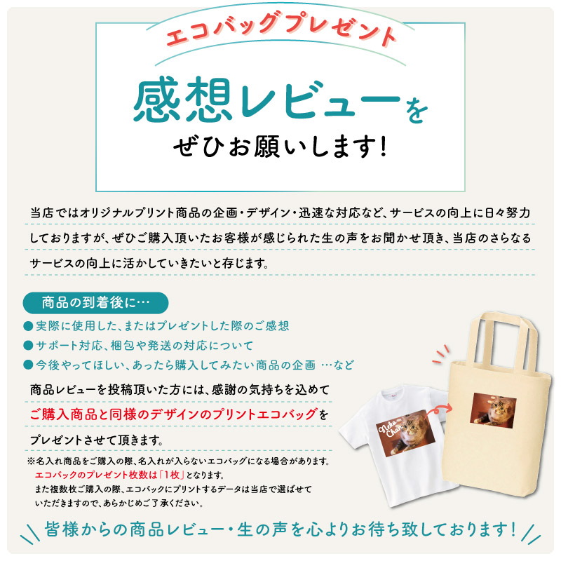 ドライ Tシャツ 半袖 バレーボール 卒業 卒団 記念品 プレゼント 練習着 速乾 部活 イラスト 英語 CUTDTB-VB2NNS 爆買 | Keips | 06