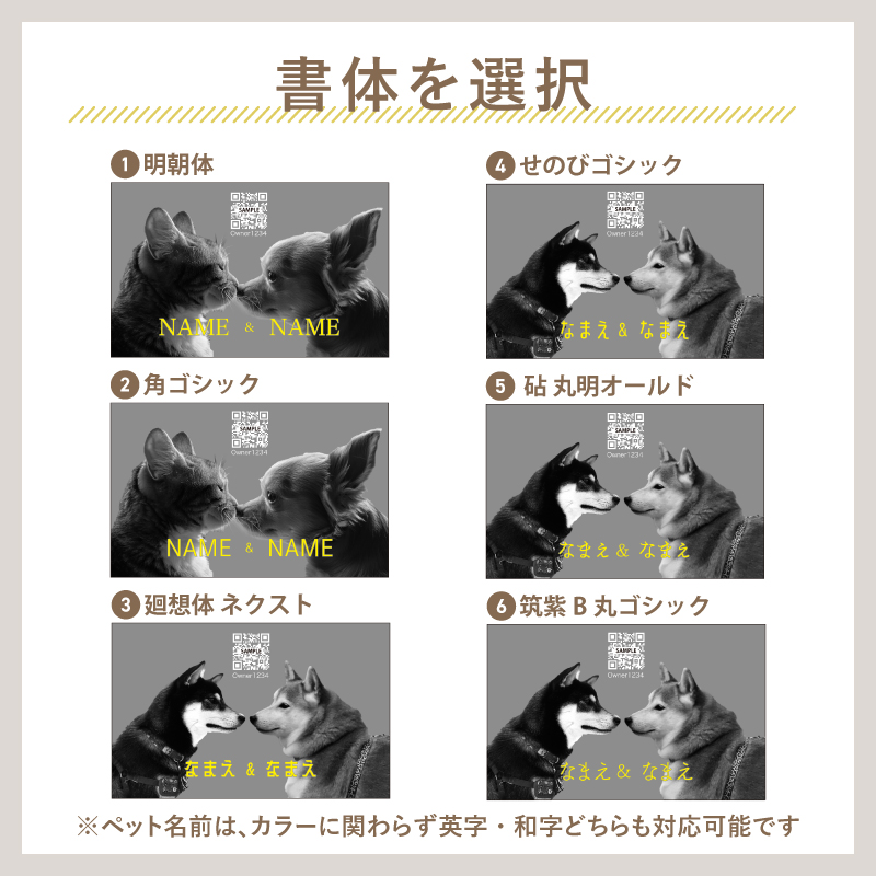 名刺作成 名刺 写真 ペット名刺 プロフィール カード 多頭用 インスタ QR 横型 横 名刺印刷 簡単 犬 猫 ペット meishi-prota1 爆買 |  | 02